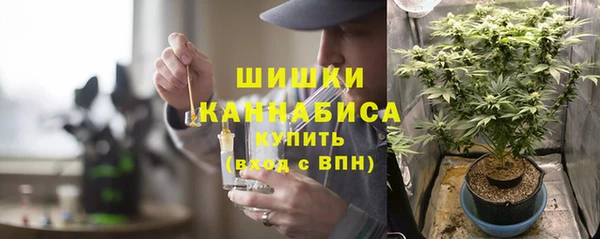 стаф Кулебаки