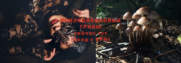кокс Кукмор